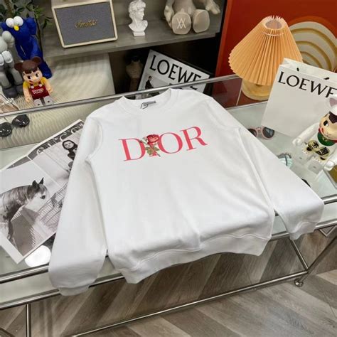 bluza dior|dior clothing for women.